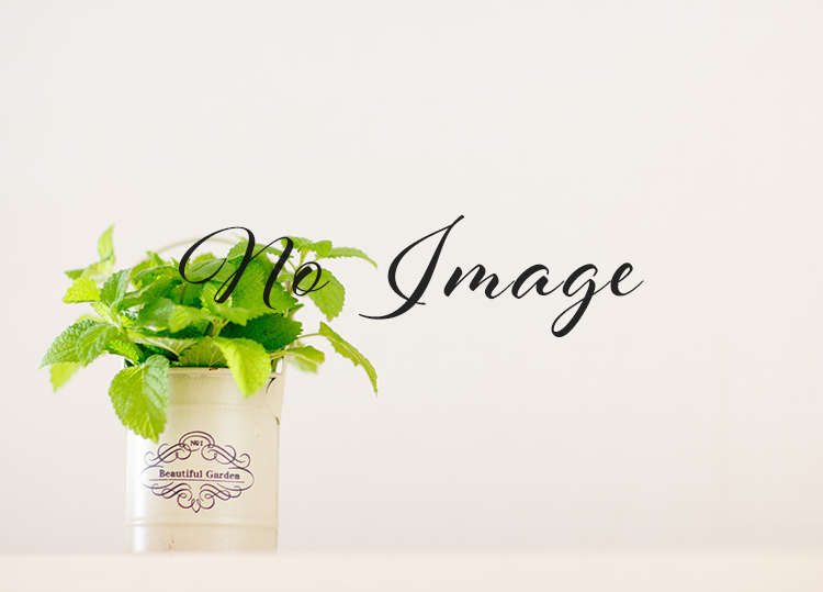 ラグビー海外ナショナルチームへのトレーナー活動